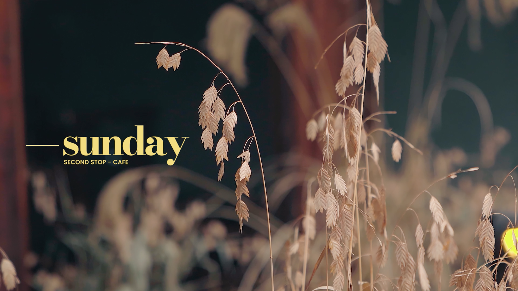 Video screen: a sweet transit - sunday